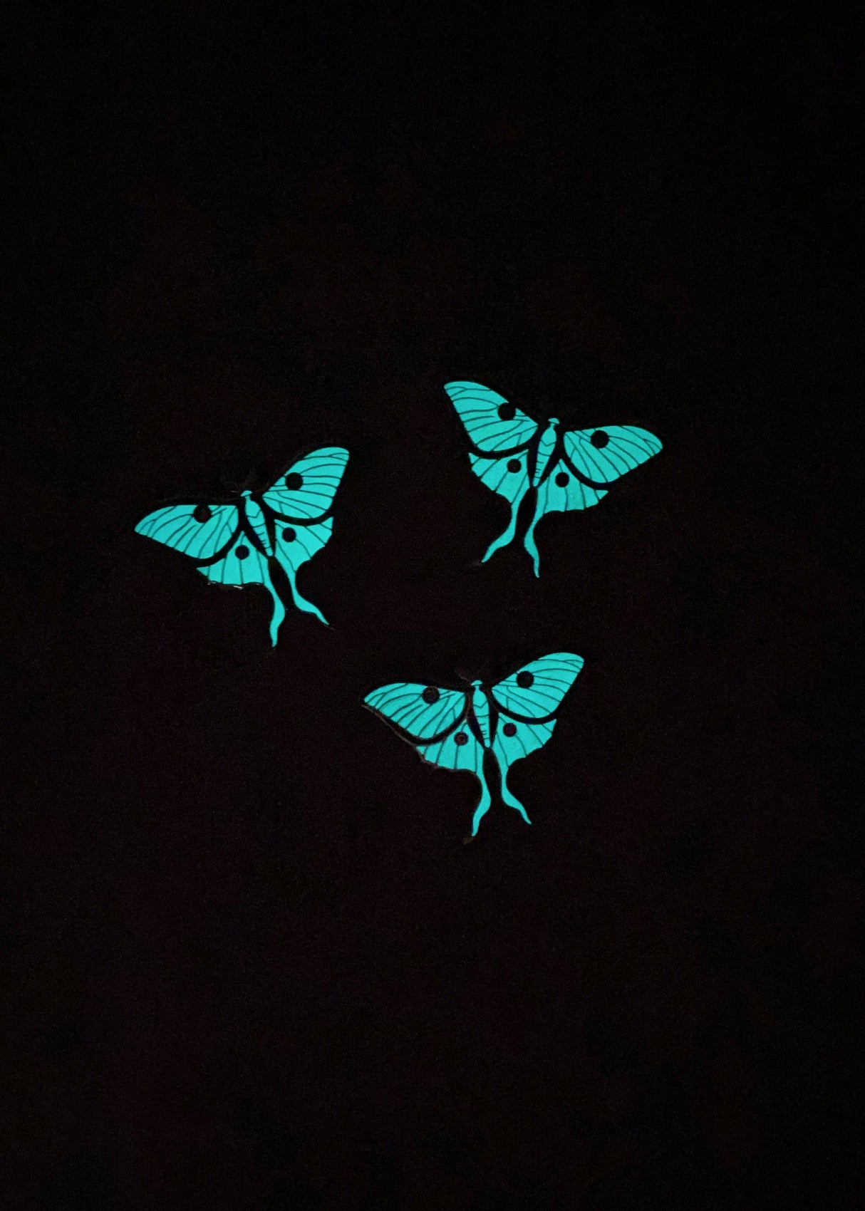 Luna Moth Glow-in-the-Dark Enamel Pin