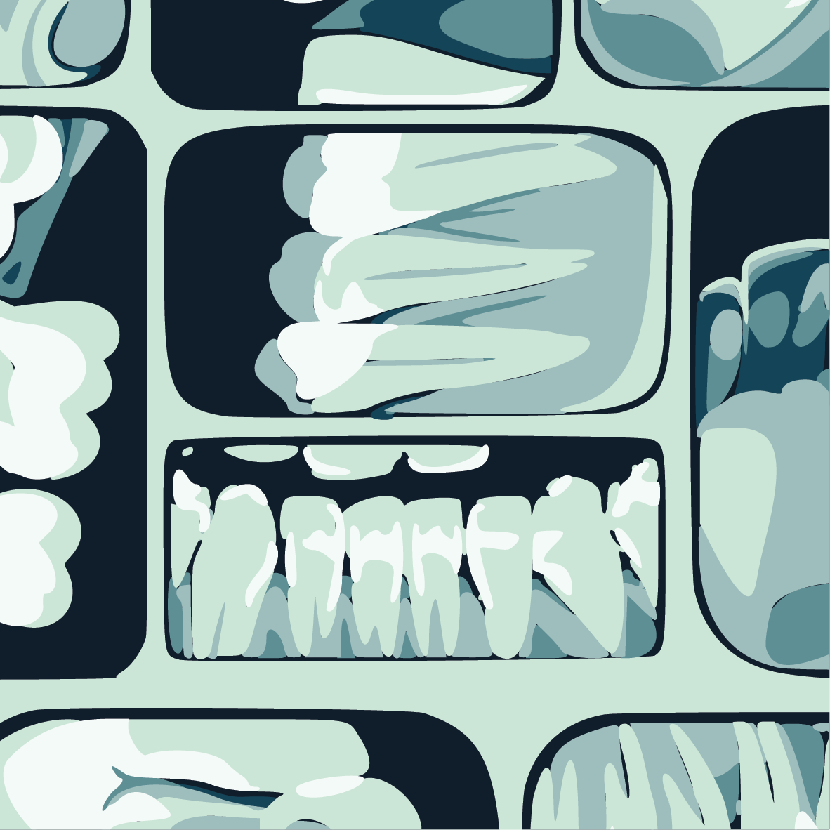 Teeth X-Ray Crew Socks