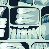 Teeth X-Ray Crew Socks
