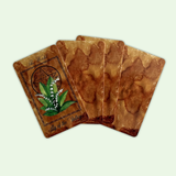 The Enchanted Flowers Tarot Deck & Guide